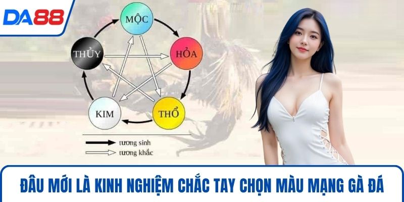 Màu Mạng Gà Đá – Cách Chọn Màu Chính Xác Thắng Lớn 2026 - bopusa.mobi