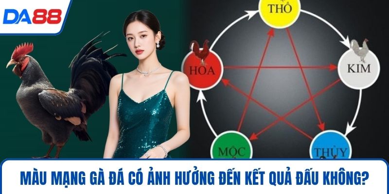Màu Mạng Gà Đá – Cách Chọn Màu Chính Xác Thắng Lớn 2026 - bopusa.mobi