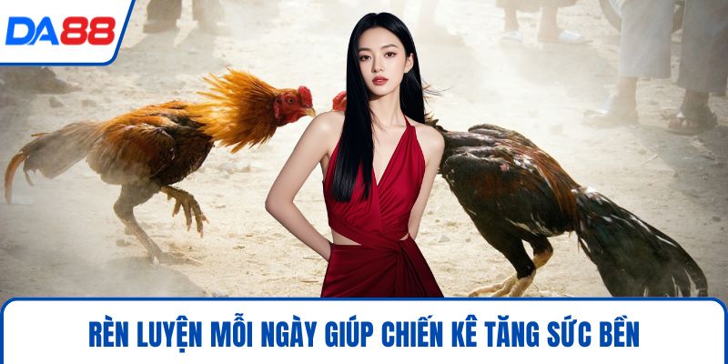 Cách Chăm Gà Chọi Hiệu Quả 2026 Chuẩn Sư Kê Tại DA88 - bopusa.mobi